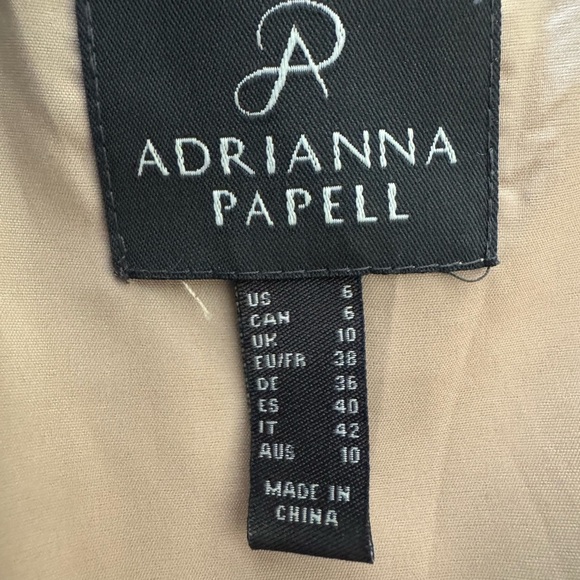 Adrianna Papell Eyelet Lace Pleated High/Low Evening Maxi Floor Length Dress, 6 - Picture 11 of 14